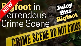 JUICY BITS Bigfoot Crime Scene Kidnapping Mystery Terrifying | (Strange But True Stories!)