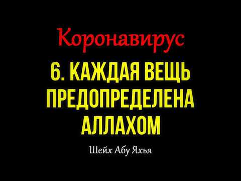 6/18 Коронавирус. Каждая вещь предопределена Аллахом || Абу Яхья Крымский