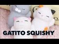 HAZ UN GATITO SQUISHY VIRAL