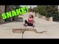 LITTLE GIRL PLAYS WITH WILD SNAKE!!!