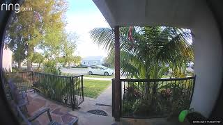 Boy shoot cap gun and burns hand then runs on grass then trips and falls (Security camera)