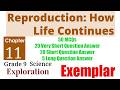 11. Reproduction: How Life Continues - MCQs &amp;  Extra Q&amp;A | Class 9 Science Exploration - Exemplar