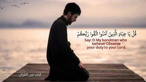 اجمل حالات واتس اب القران الكريم يشرح الصدر ❣❤