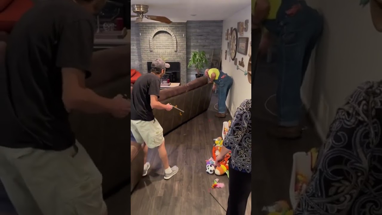 That one time there was a snake under the couch 