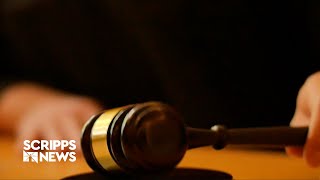 The world's first robot lawyer to defend in court next month