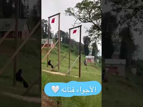 أجواء تركي لا توصف