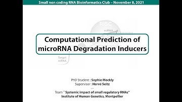 Computational prediction of microRNA degradation inducers, Sophie Mockly