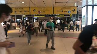 【定点カメラ】JR東京駅 丸の内地下中央口