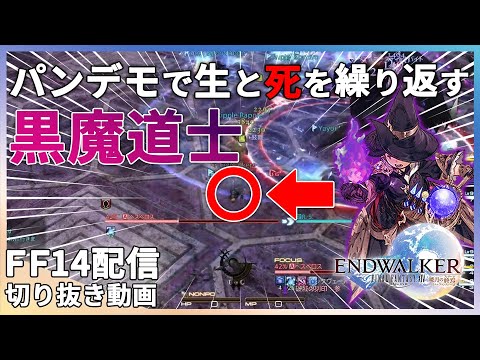 【FF14】パンデモで1分間に3回死んでオーバーキルされる黒魔道士【切り抜き】