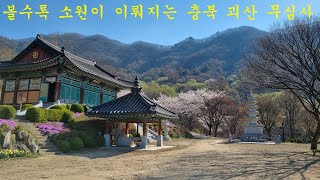 KBS인간극장 괴산 무심사,소원 성취, 나비춤, 바라춤, 23년3월 합동천도재,