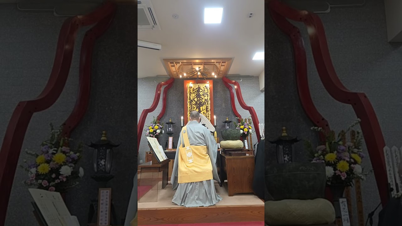 ライブ ハイライト #南無妙法蓮華経 #妙應寺 #shorts  #live