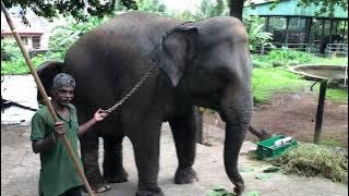 අලි භාෂාව | Biology Field Trip | Dehiwala Zoo | Roshan Wijesinghe