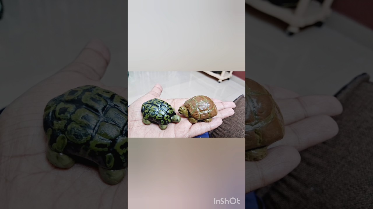 How to make tortoise with clay 