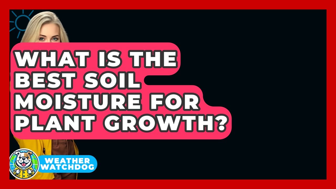 What Is The Best Soil Moisture For Plant Growth? - Weather Watchdog