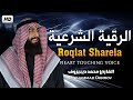 رقية شرعية هادئة السحر الحسد العين من القران بصوت هادئ ومريح القارئ محمد ديبيروف 