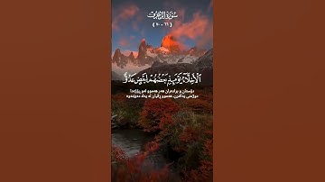 القرآن الكريم #القرآن_الكريم #تلاوة_خاشعة #الجزائر #فلسطين