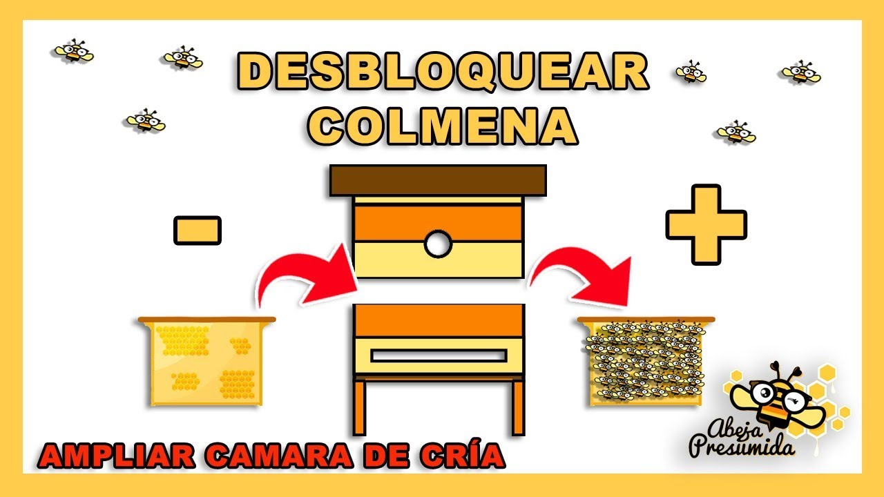 Desbloquear COLMENA 🐝🧡🎥 Ampliar cámara de cría