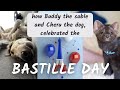 How Buddy the sable and Cheru the dog celebrated the day of Bastille