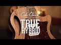 Cole clark true hybrid hss demo