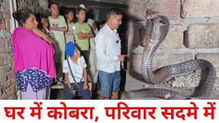 पुरे गाँव में अंधेरा, रसोई में घुसा कोबरा///स्नेकमैन सतीश (फफडाना)-9255130130