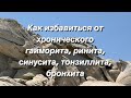 Как с помощью пептидных препаратов для бронхолегочной, иммунной систем быстро восстановиться#пептиды