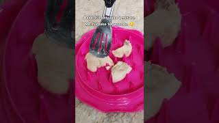 Have you Tried this Chicken Shredder? #kitchengadgets #viralproducts
