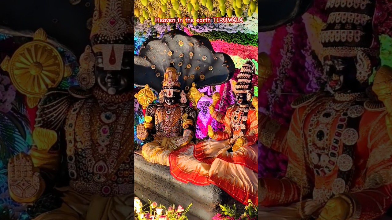 Tirumala🙏 #tirumala #god #hindu #heaven #peace #devotional #pilgrim #like #share #reels #trending