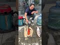 هل يمكن للمكنسة ابتلاع سمكة كاملة؟ 😳🐟