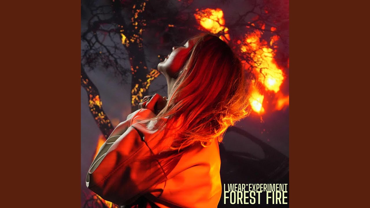 Watch Forest Fire on YouTube Watch Forest Fire on YouTube
