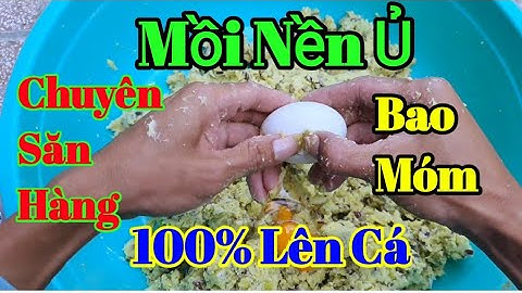 Bài Mồi Nên Khoai Lang ủ Chua Chuyên Câu Cá Trôi, Chép, Trắm, Phi, Hiệu Quả - Dễ Làm