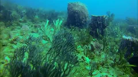 GoPro Underwater Filters