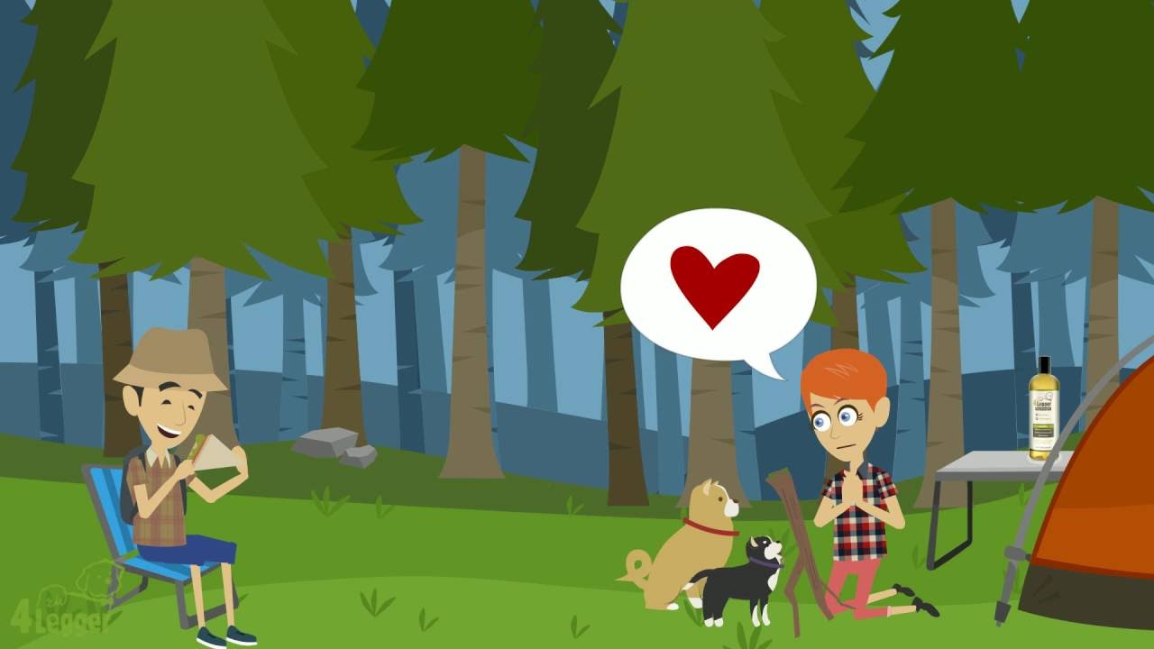 Sustainable Ingredients - Biodegradable - Certified Organic Dog Shampoo