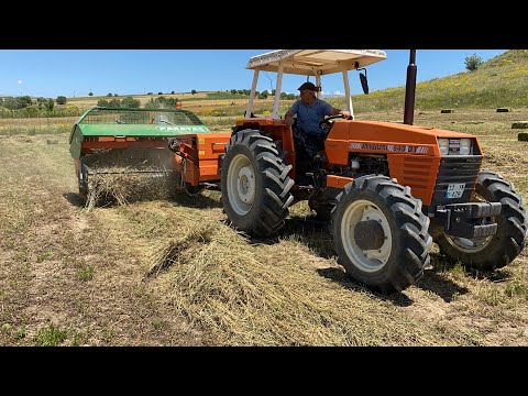 Video: Yolculuğun görevleri ve amacı: örnekler