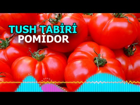 Video: Pomidorni kesish - Pomidor o'simligini kesish mumkinmi?
