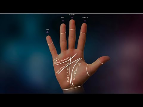 BEST PALM READING APP