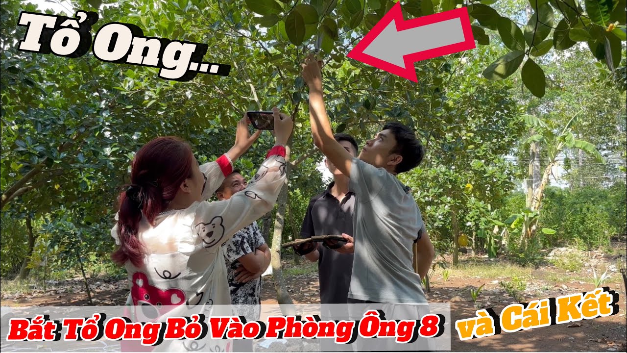 Lấy Tổ Ông bỏ vào phòng ngủ Ông 8 và Cái Kết