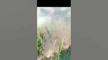 thanh niên học cách,ẩn của đặc công nước Việt Nam