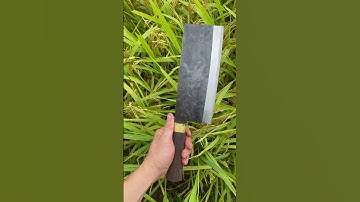 Tôi làm con dao phở thái bằng thép vòng bi tàu ngầm sắc nét đáng kinh ngạc