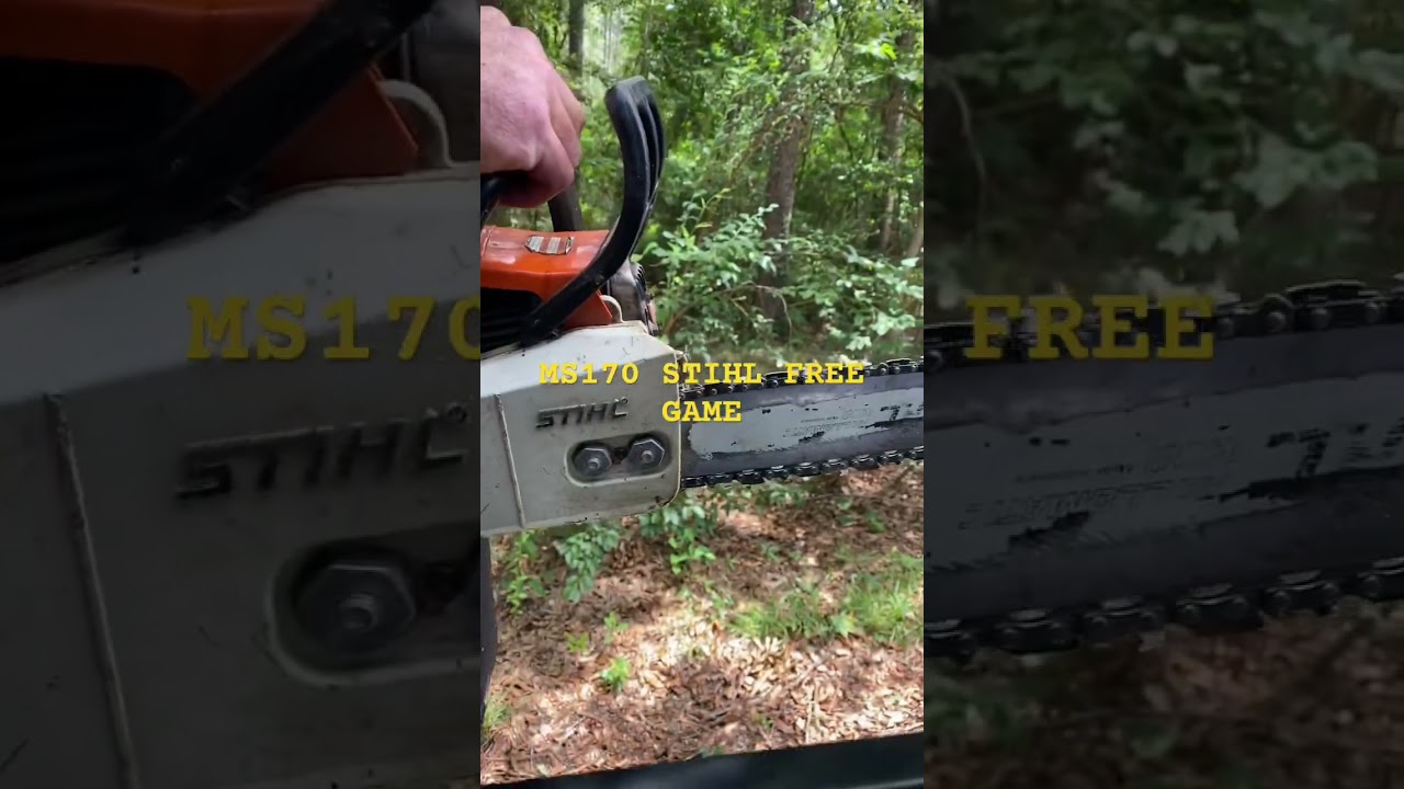 STIHL MS170 tutorial 