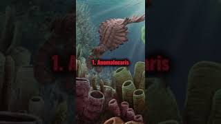 What animals lived in the Cambrian sea? #prehistoric #fypシ #shorts #cambrianperiod