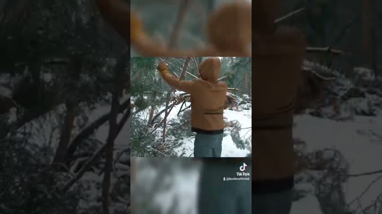 best winter shelter 🤠 Wikiup