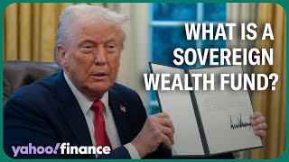 What is a sovereign wealth fund?