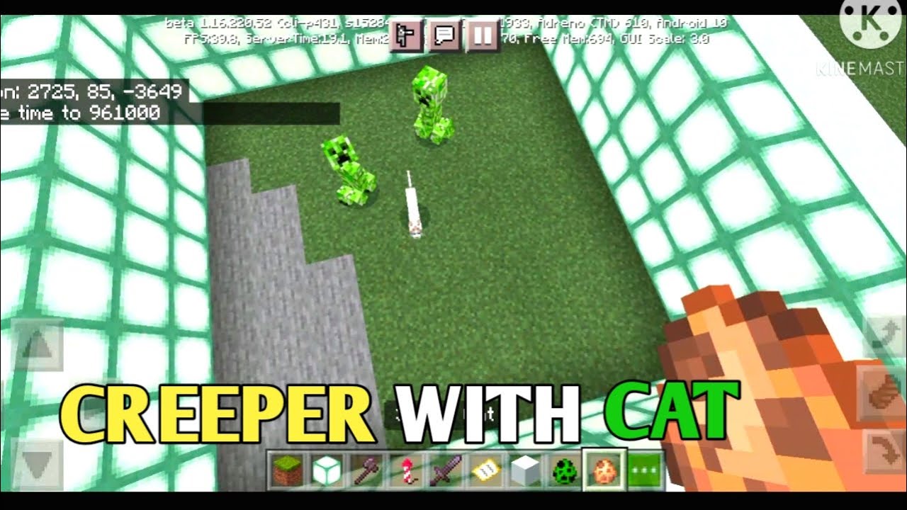 Creeper with his best friend | MINECRAFT | - YouTube