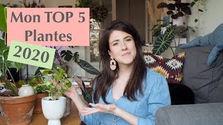 Plantes d'intérieur - Mon top 5 pour l'année 2020