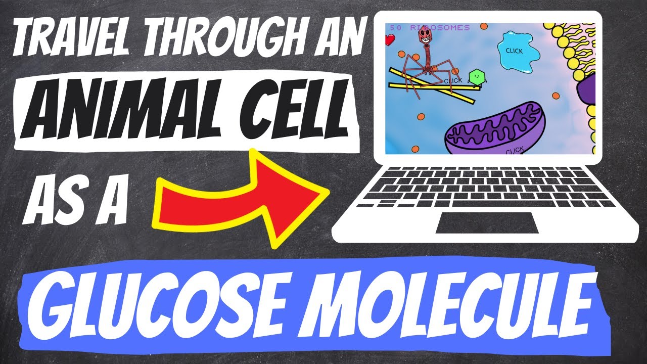 travel through an animal cell game