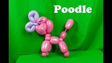 Learn how to make a balloon animal poodle using balloon twisting