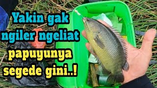 Moment trip mancing dua hari di sarang papuyu babon..!