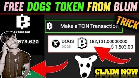 Blum Airdrop Free 200k Dogs Token 🤑 Blum Wallet Connect Process || Claim Daily Unlimited Blum Token