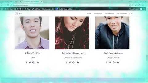 Cara Simple membuat website dengan wordpress + divi themes