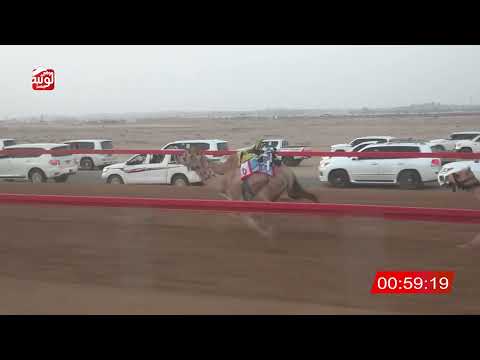 الشوط 3 ابعاد ل هلال سالم بن سليمان الفزاري 2 06 مهرجان العين للهجن 2025 7 4 فطامين سويحان